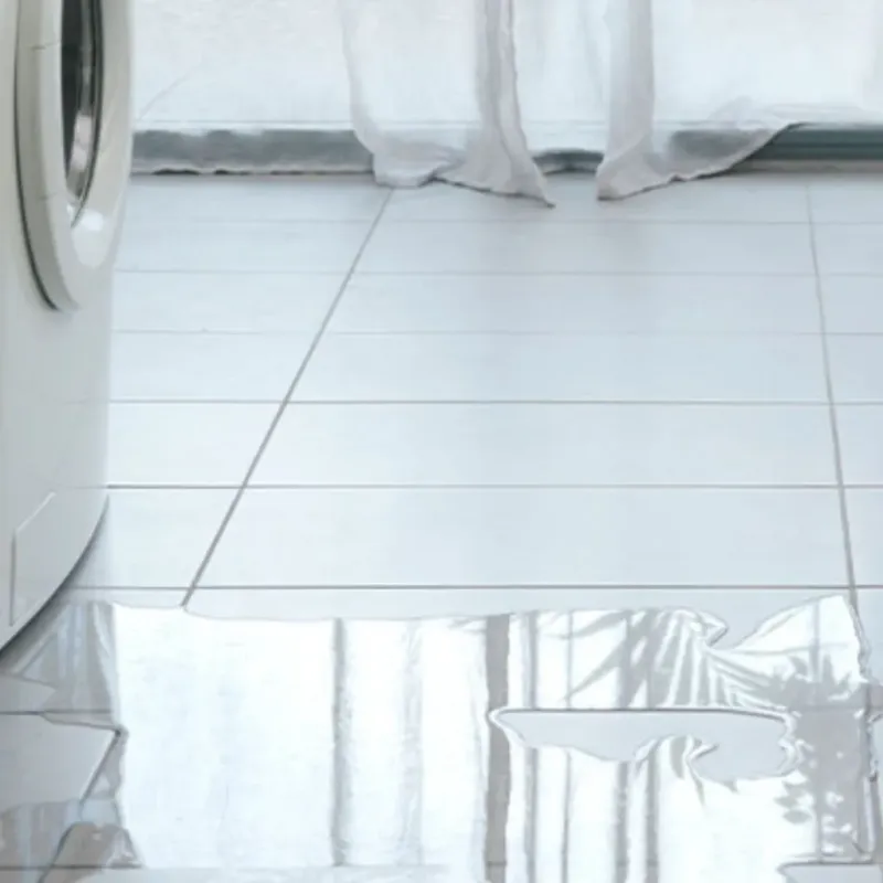 Appliance Leak Cleanup in Crossville, AL