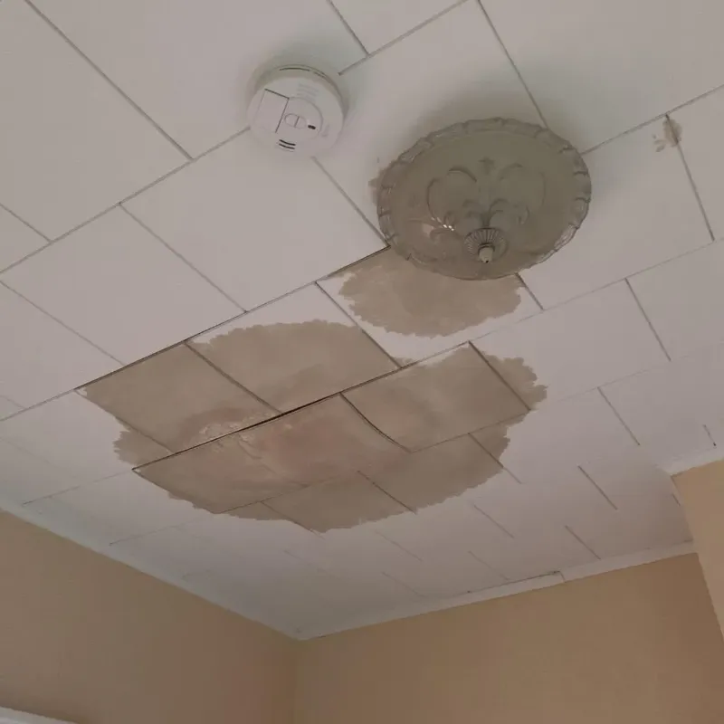 Ceiling Water Damage Repair in Crossville, AL