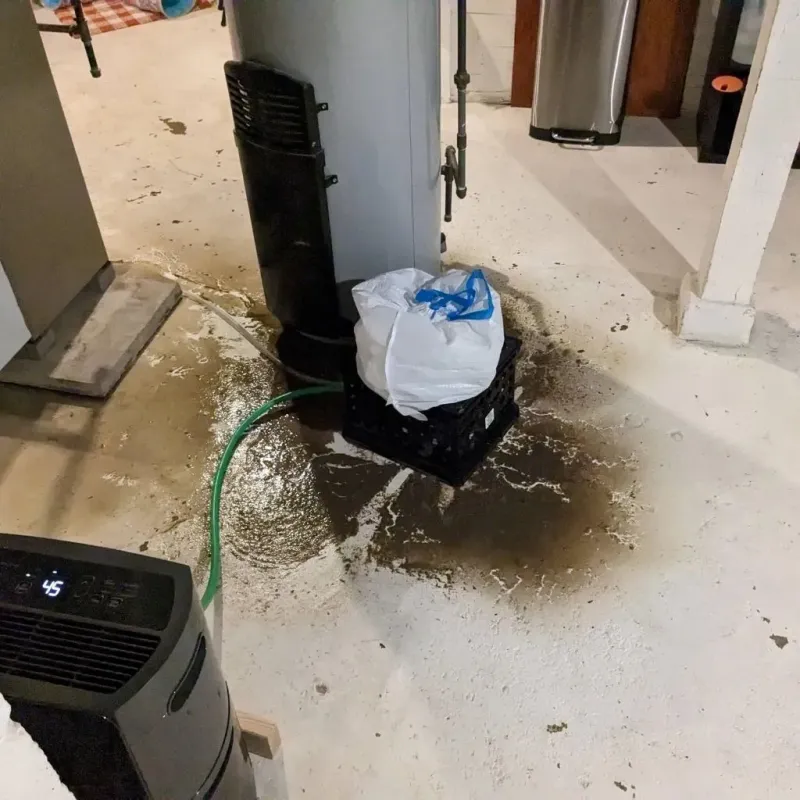 Sewage Backup Cleanup Service in Crossville, AL